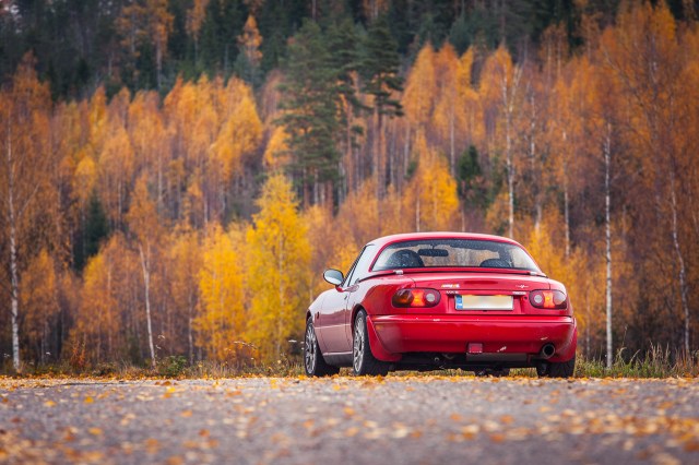 10241437085_3e55f3caa7_o