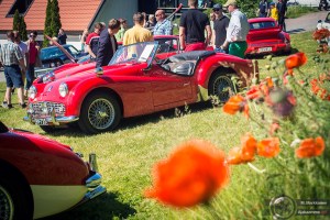 Triumph Concoursessa 2014