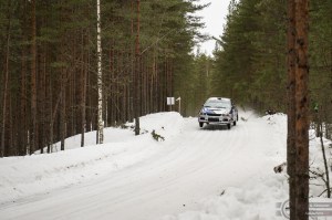 #26 Jarkko Hosike / Mitsubishi Lancer Evo 9. Pohjanmaa-ralli, EK3.