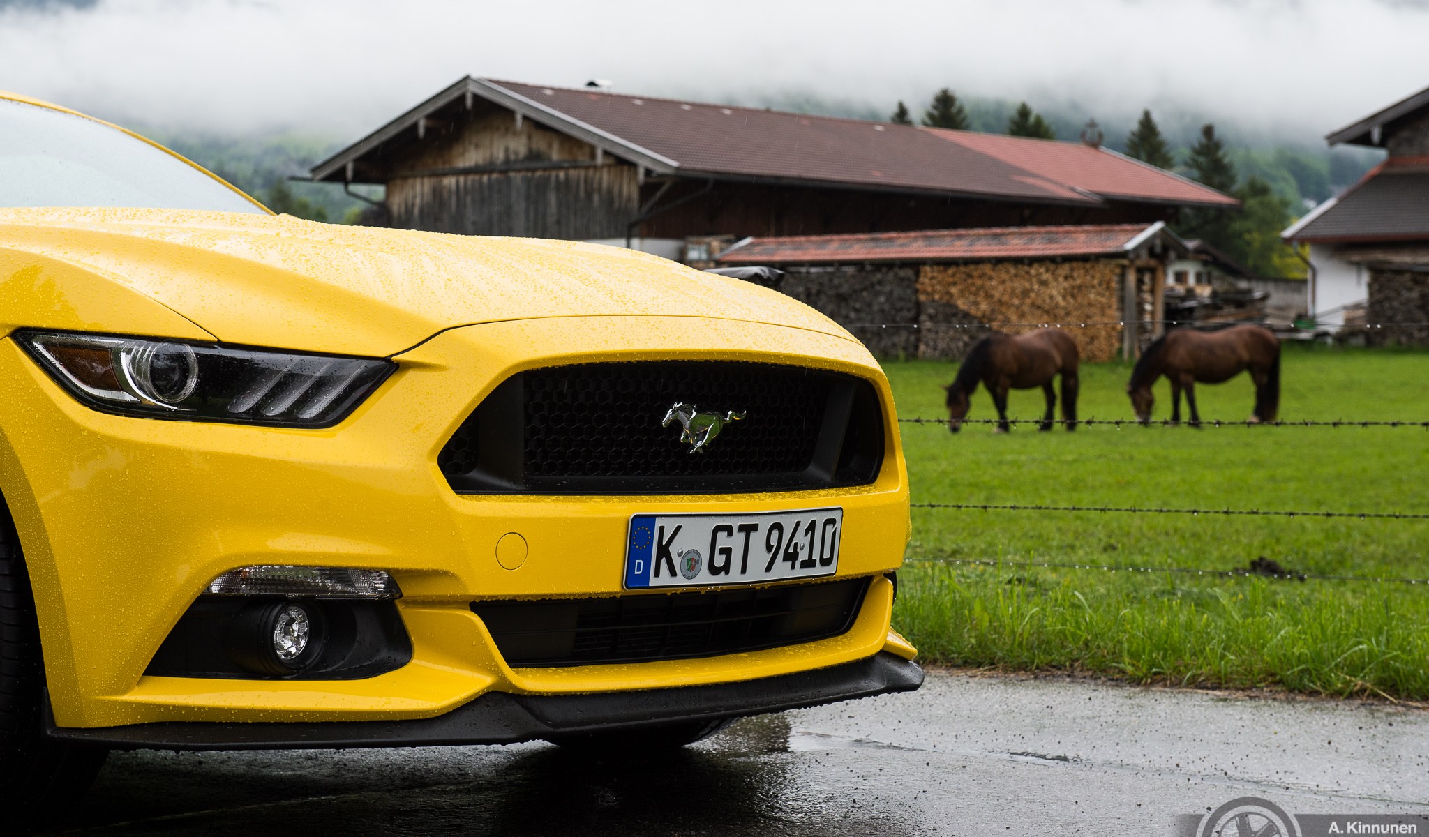 Ford Mustang V8 GT