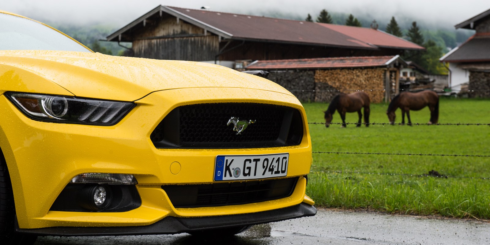 Ford Mustang V8 GT