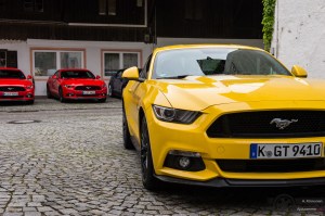 Mustang fleet